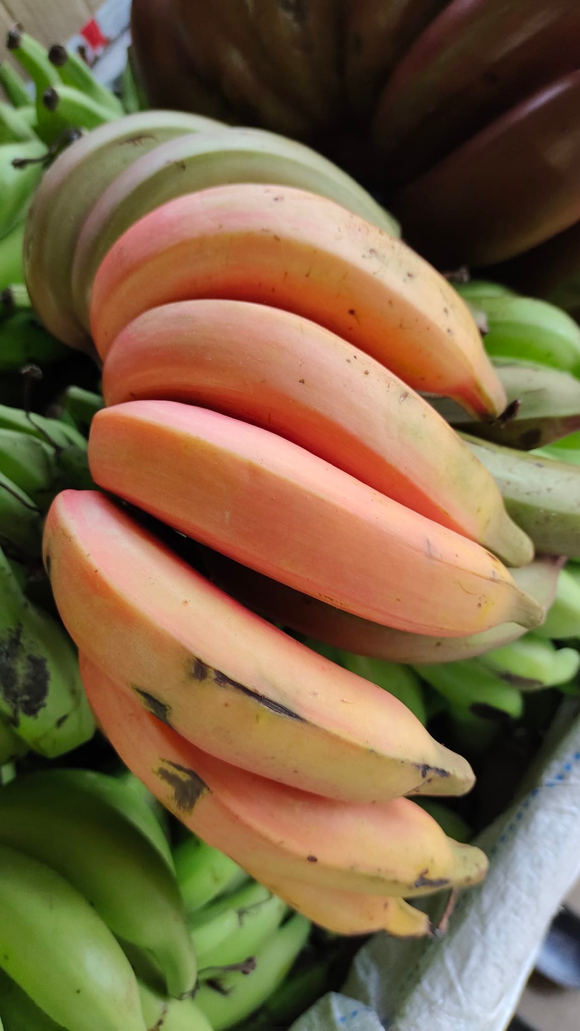 மலைமட்டி வாழைப்பழம்