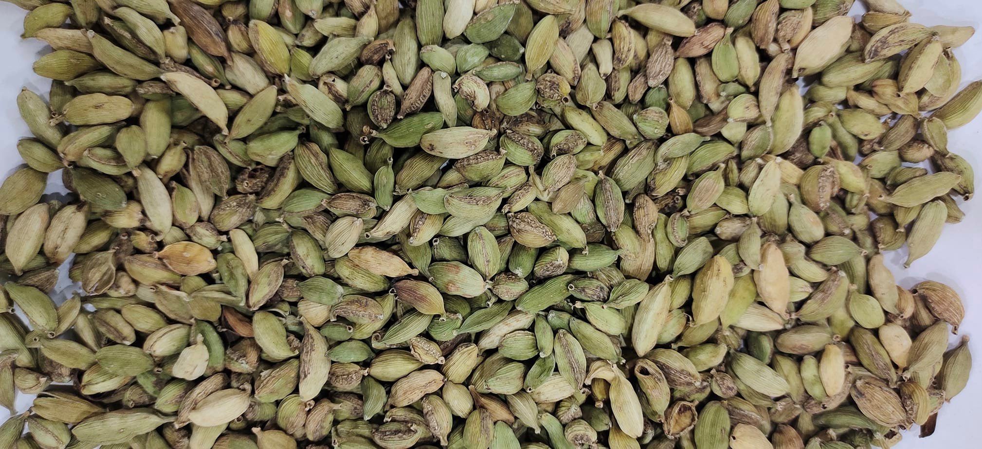 பழங்குடிகள் விளைவிக்கும் ஆரோகியமான ஏலக்காய்