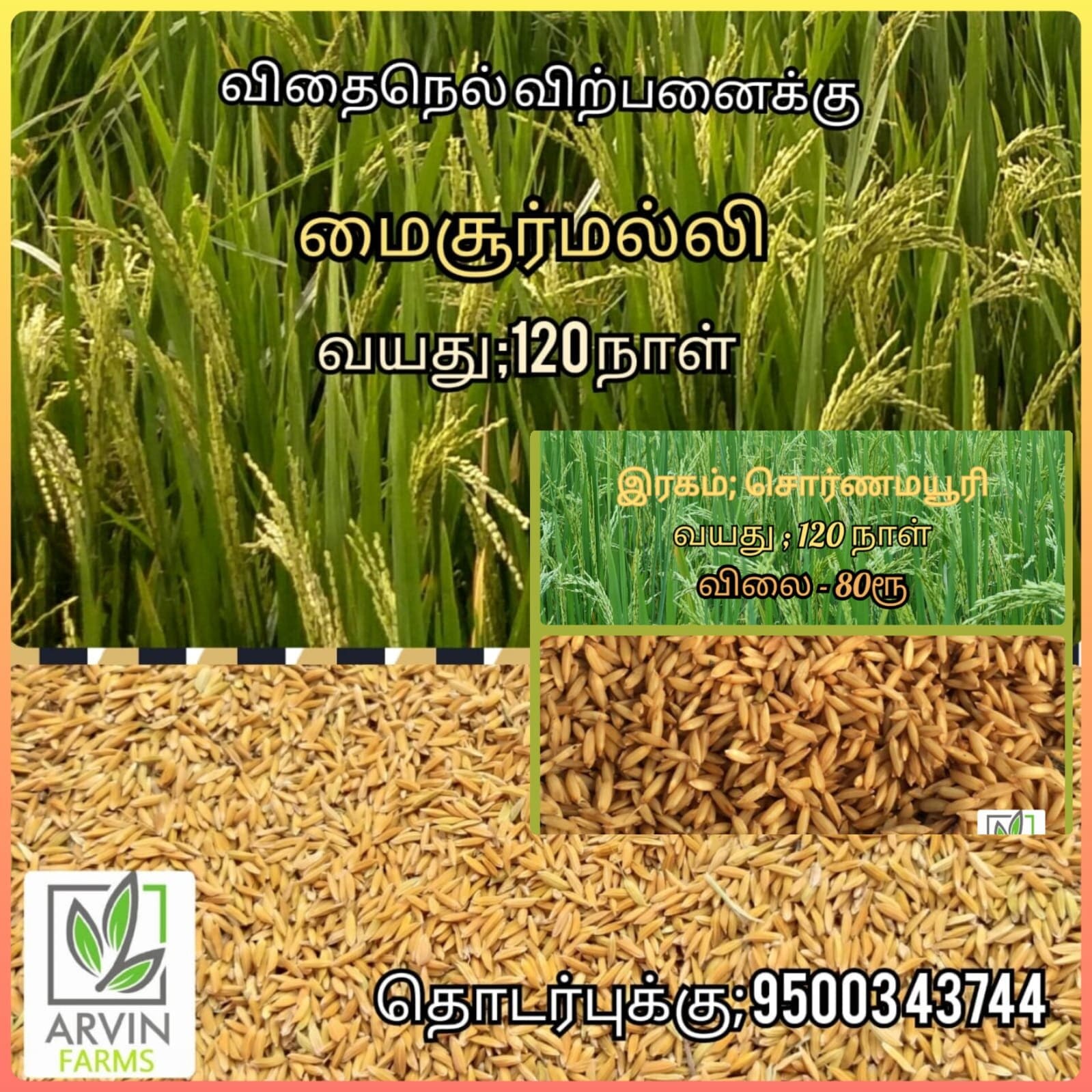 அரிசி வகைகள் விற்பனைக்கு