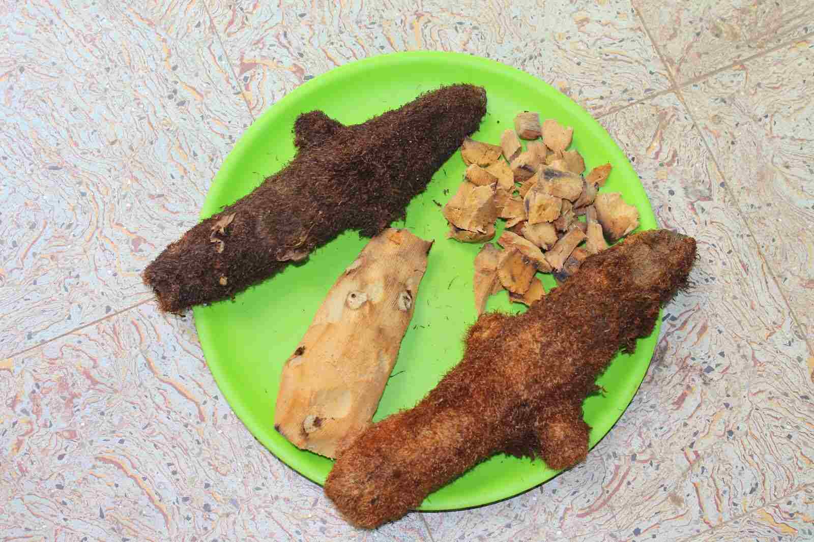 முடவாட்டுக்கால் கிழங்கு