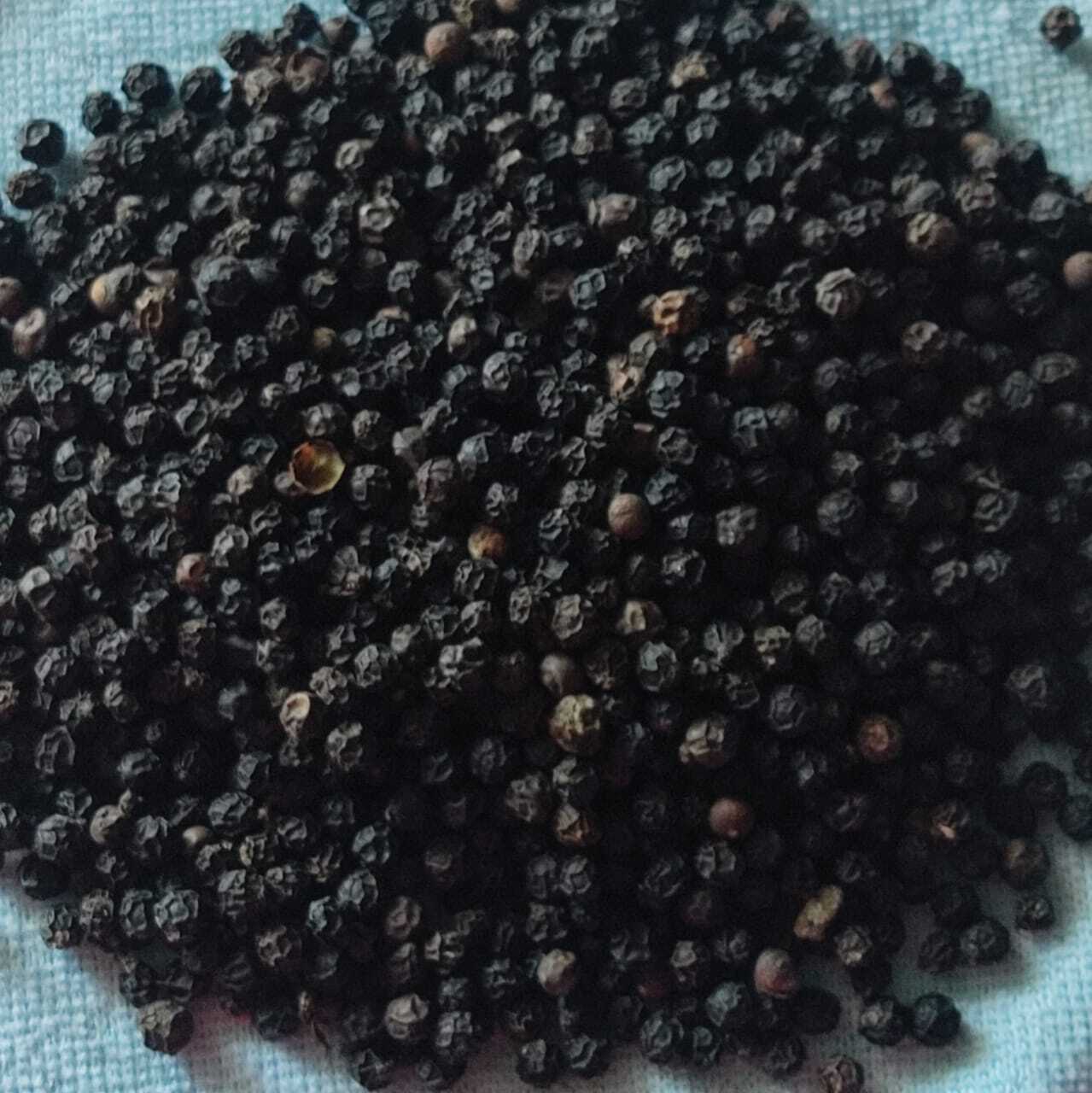 மிளகு விற்பனைக்கு 