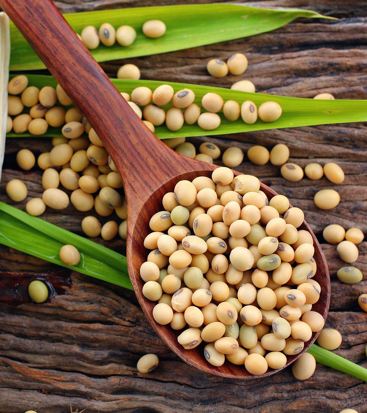 Soy beans reduce the risk of type 2 diabete