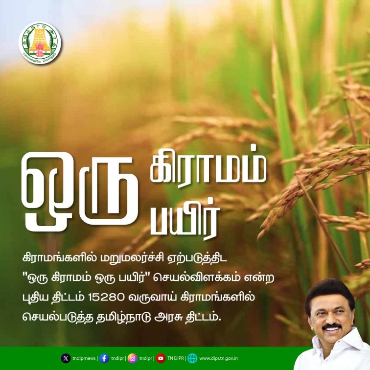 ஒரு கிராமம் ஒரு சாகுபடி திட்டம்