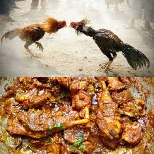சண்டை சேவல் கறிக்குழம்பு