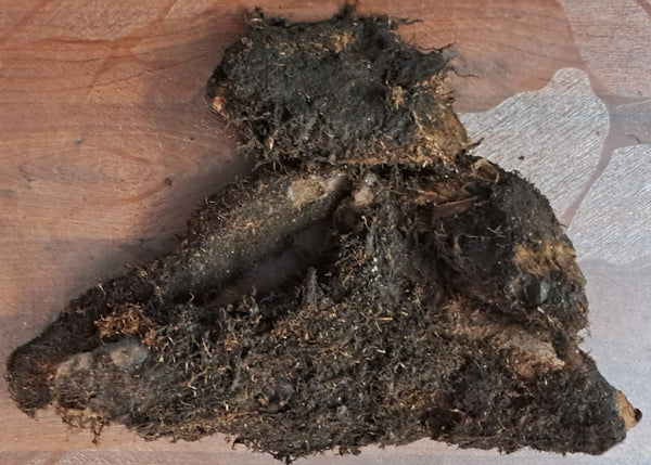 முடவாட்டுக்கால் கிழங்கு