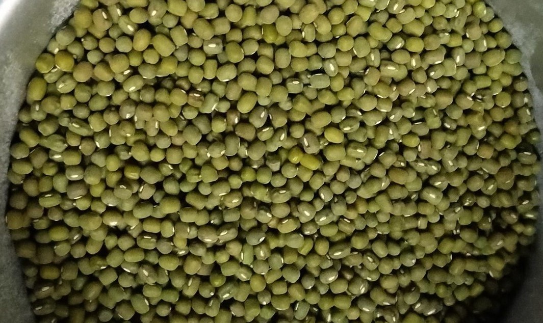 பாசிப்பயறு விற்பனைக்கு