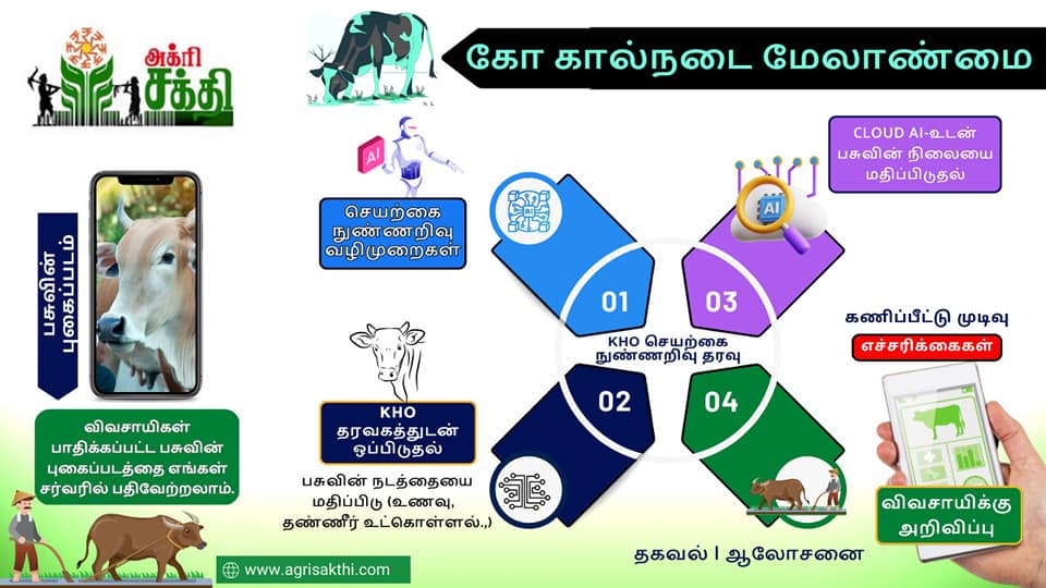 கால்நடைகளைக் காக்கும் புதிய முயற்சி
