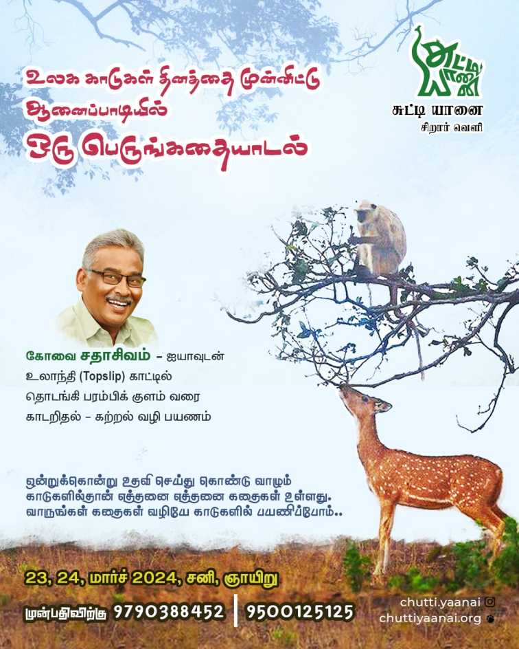 காடறிதழ் பயணம்